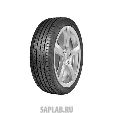 Купить DELINTE 6901532203867 Шины Delinte DH2 185/55 R16 87V