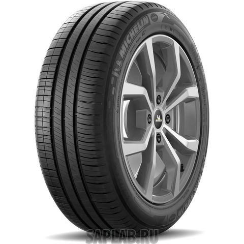 Купить запчасть MICHELIN - 045877 