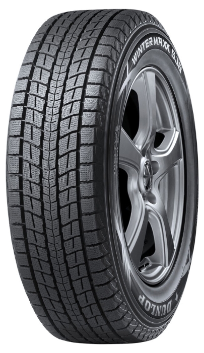 Купить DUNLOP 311469 Шины Dunlop Winter Maxx SJ8 255/55 R18 109R